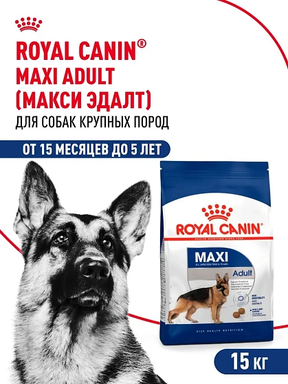 Royal Canin Maxi Adult 5+ Корм сухой для взрослых собак крупных размеров от 5 до 8 лет