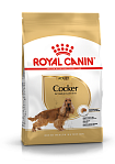 Royal Canin Cocker сухой корм для собак породы кокер-спаниель в возрасте от 12 мес
