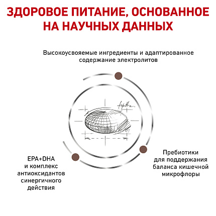Royal Canin Gastro Intestinal Moderate Calorie  сухой корм для кошек при нарушении пищеварения