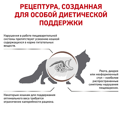 Royal Canin Gastro Intestinal Moderate Calorie  сухой корм для кошек при нарушении пищеварения