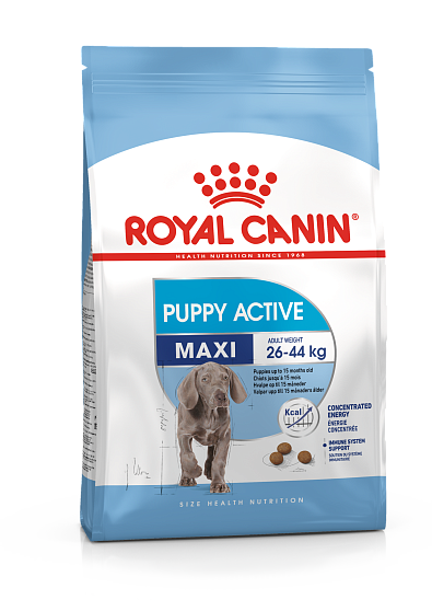 Royal Canin Maxi Puppy Active полнорационный сухой корм для щенков собак крупных размеров