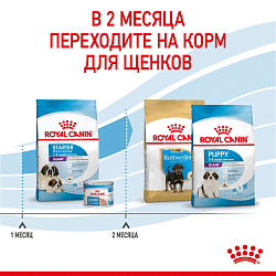 Royal Canin Giant Starter Mother and Babydog - сухой корм для щенков в период отъема