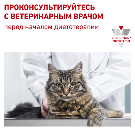 Royal Canin Gastro Intestinal Moderate Calorie  сухой корм для кошек при нарушении пищеварения